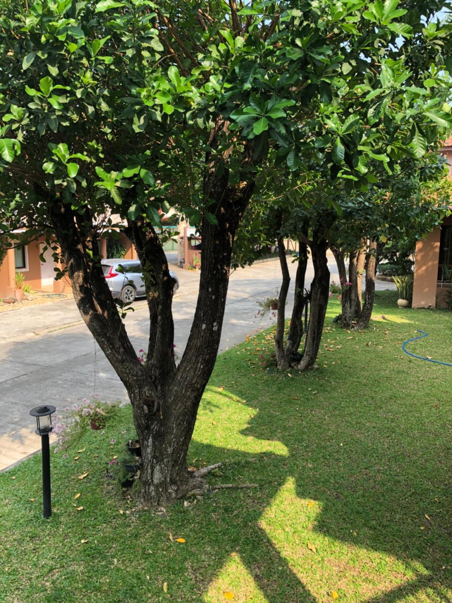 Areena Resort And Hotel אוטרדיט מראה חיצוני תמונה